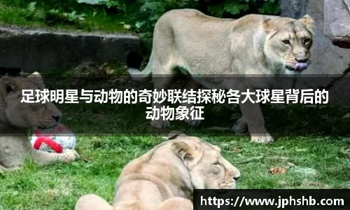 足球明星与动物的奇妙联结探秘各大球星背后的动物象征